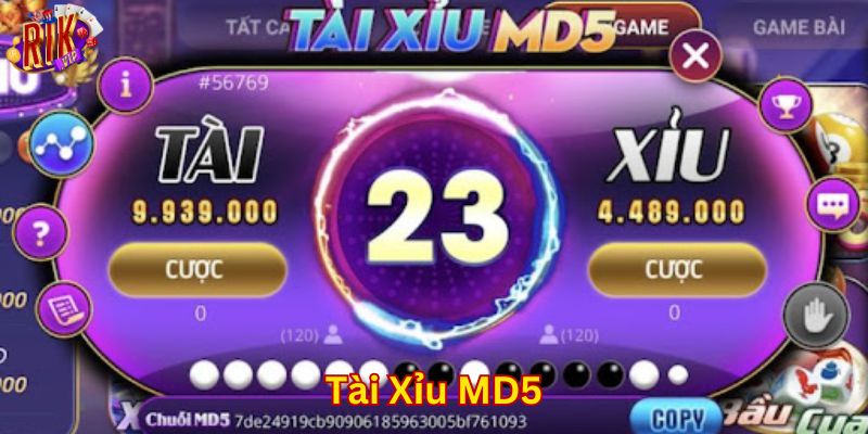 Cách chơi tài xỉu MD5 dễ hiểu cho tân thủ